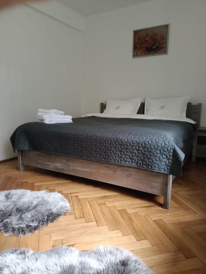 Vintage Gray Apartament Брашов Екстериор снимка