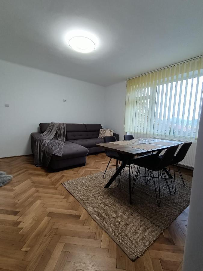 Vintage Gray Apartament Брашов Екстериор снимка