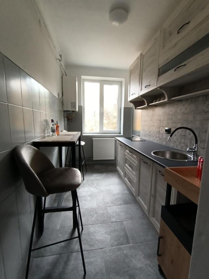 Vintage Gray Apartament Брашов Екстериор снимка