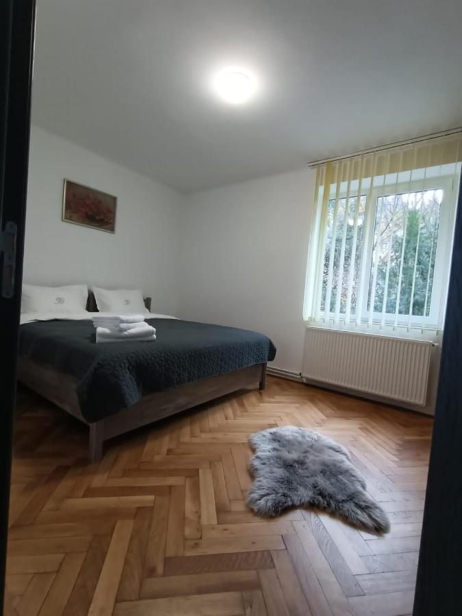 Vintage Gray Apartament Брашов Екстериор снимка